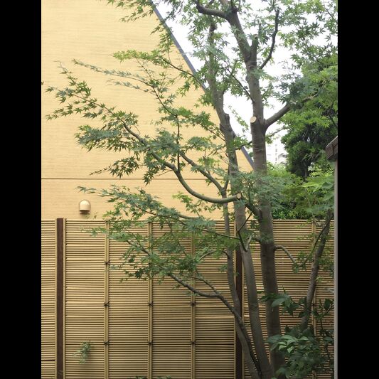 施工後の画像
