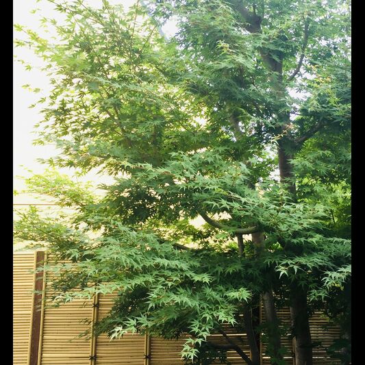 施工前の画像