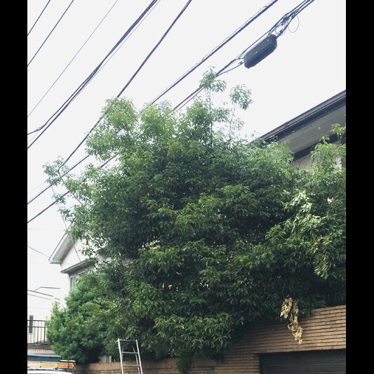 施工前の画像
