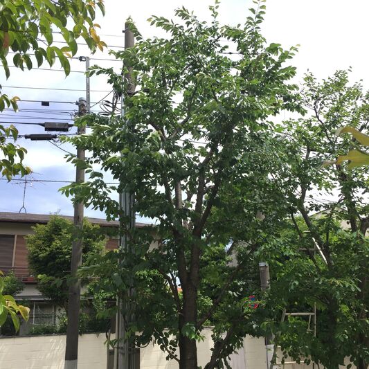 施工後の画像