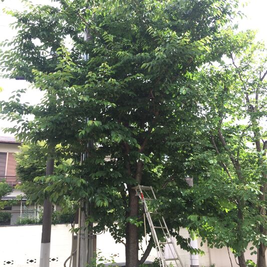 施工前の画像