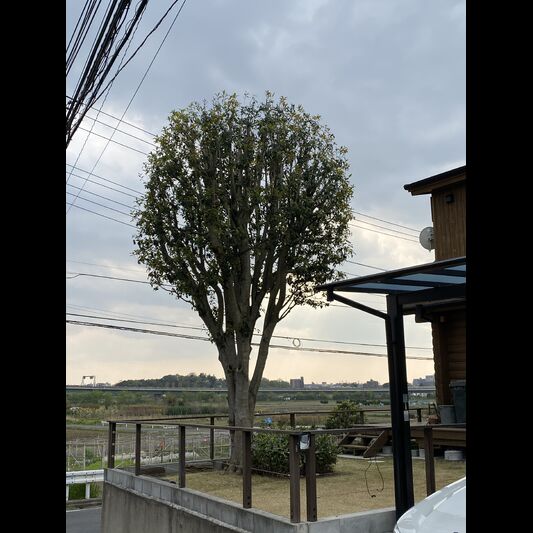 施工後の画像