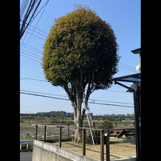 施工前の画像