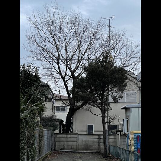 施工前の画像