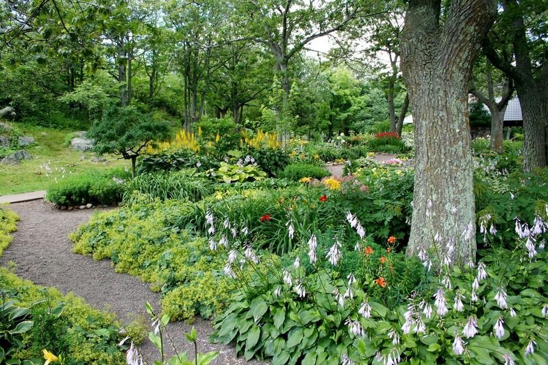 garden-56719_1920